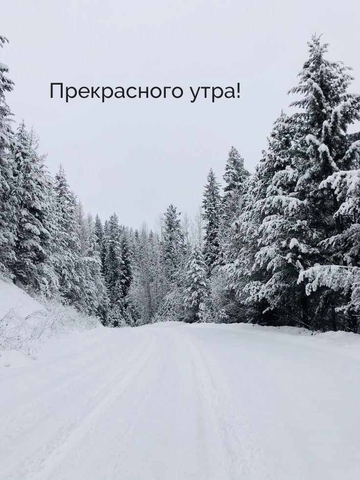 Прекрасного утра!