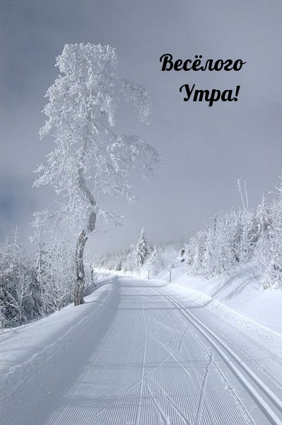 Весёлого Утра!