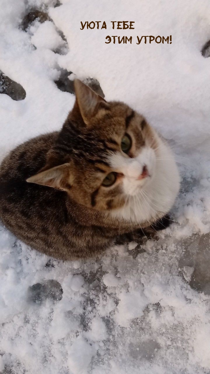 Уюта тебе этим утром!