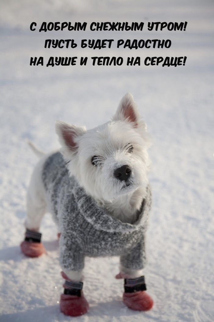 С добрым утром! Пусть будет радостно на душе и тепло на сердце! 