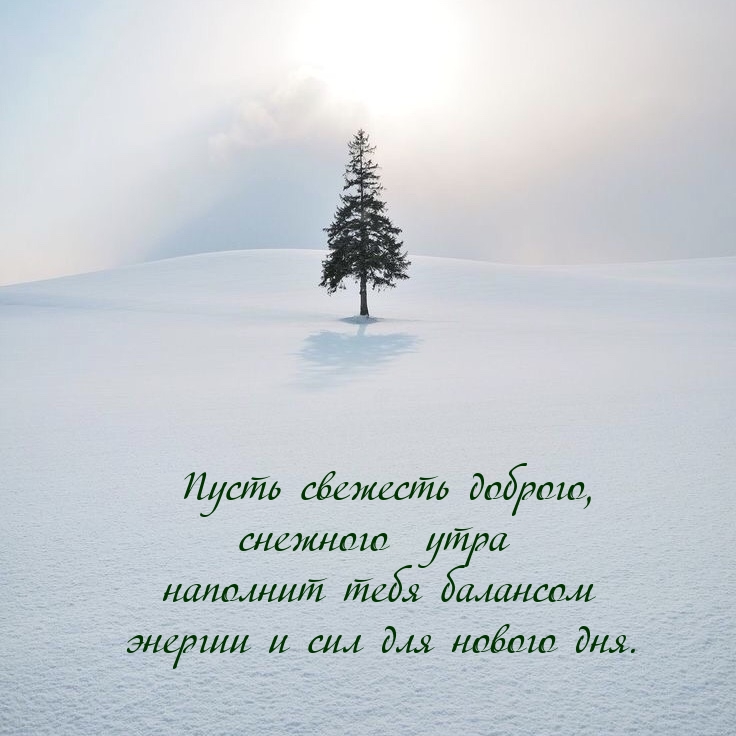 Энергии и сил для нового дня. 