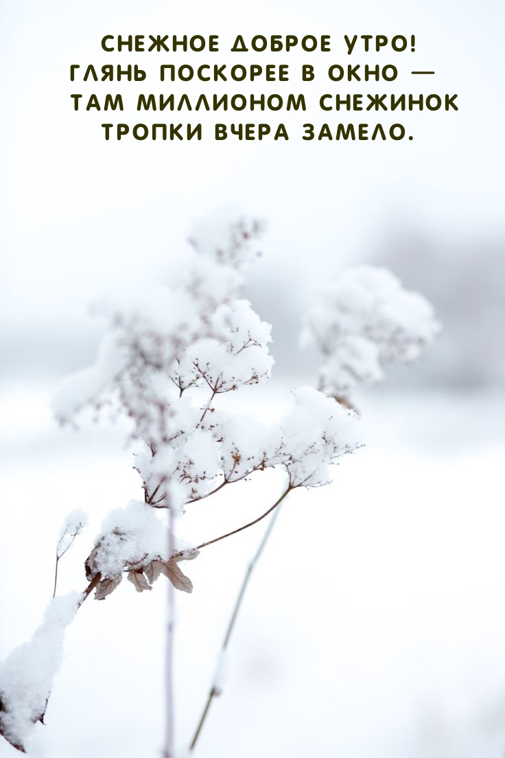 Снежное доброе утро! Глянь поскорее в окно