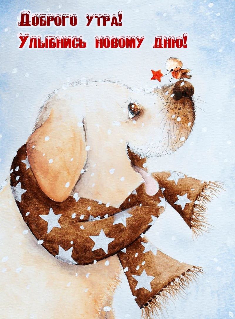 Доброго утра! Улыбнись новому дню!