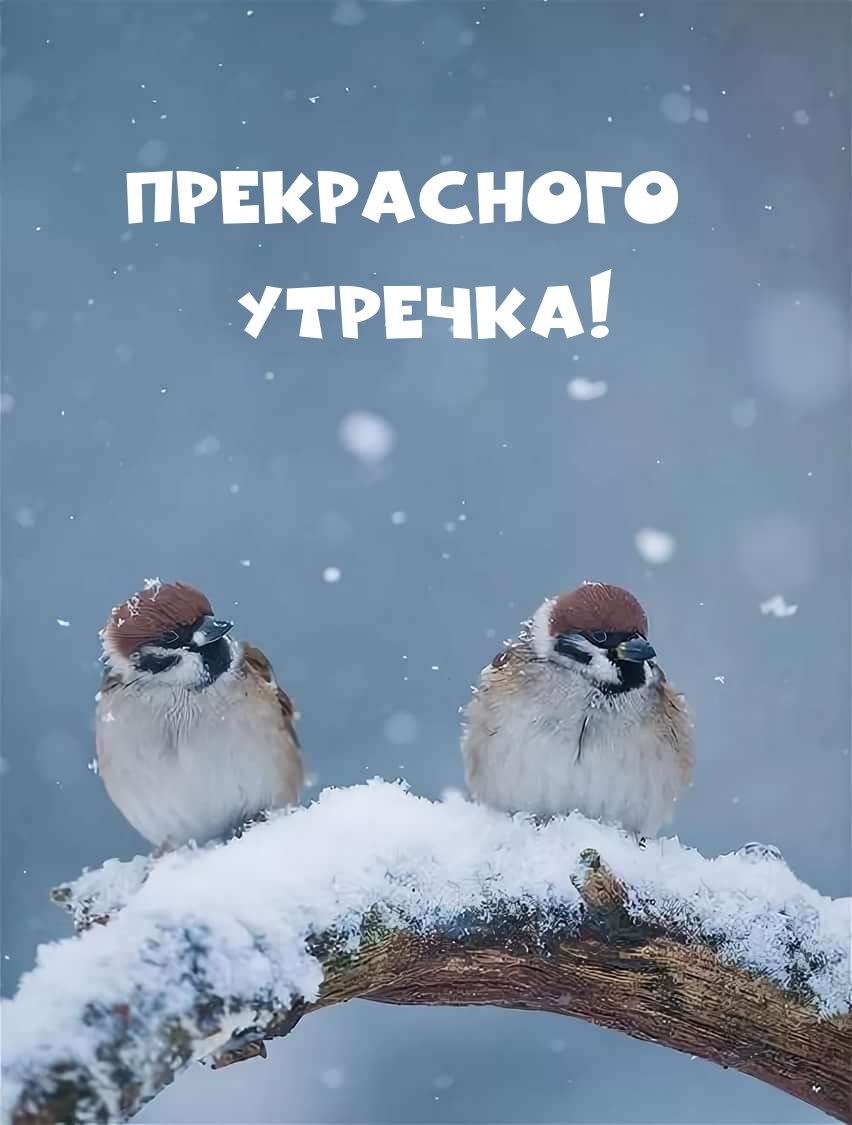 Прекрасного утречка!