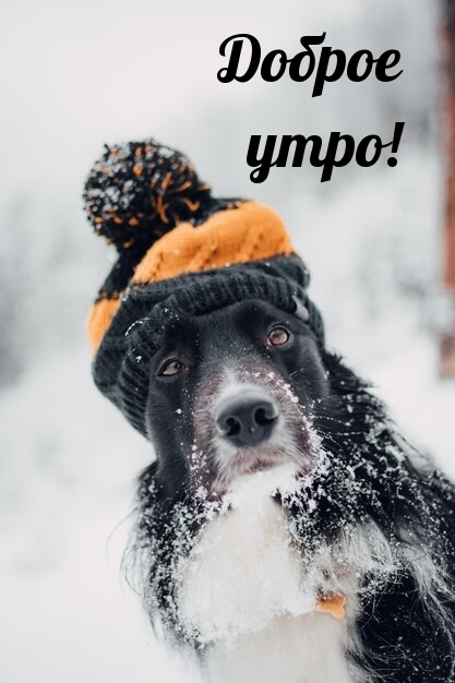 Доброе утро!