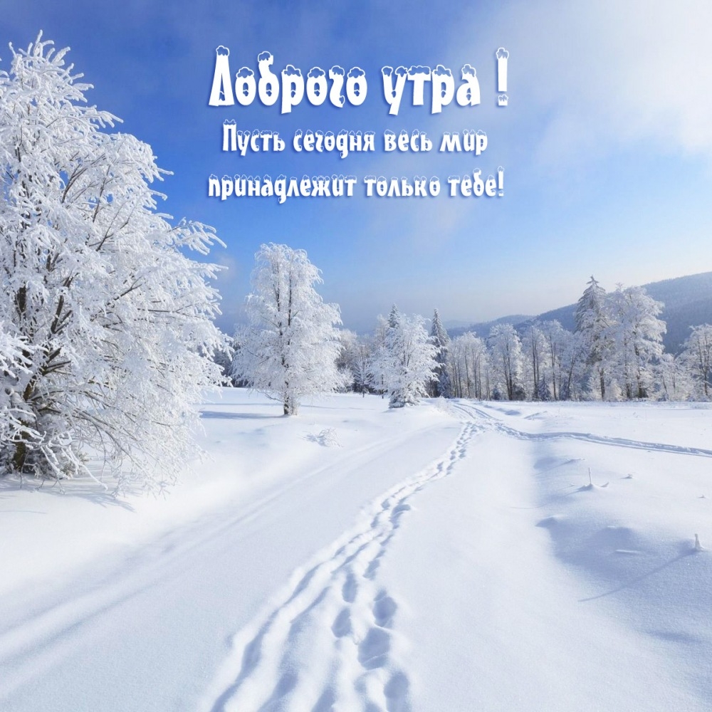 Пусть сегодня весь мир принадлежит только тебе!