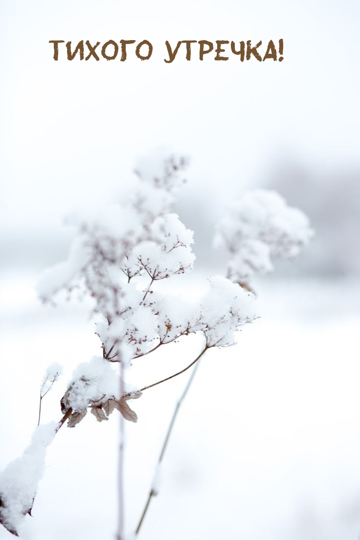 Тихого утречка!