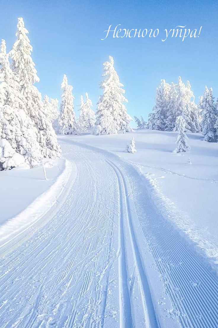 Нежного утра!