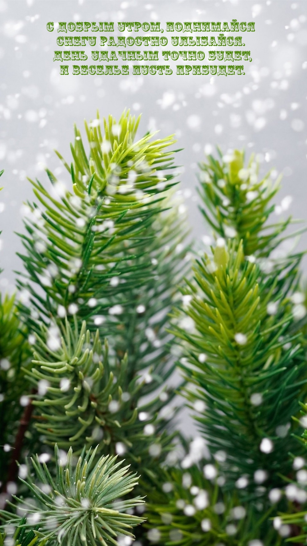 С добрым утром, поднимайся снегу радостно улыбайся.