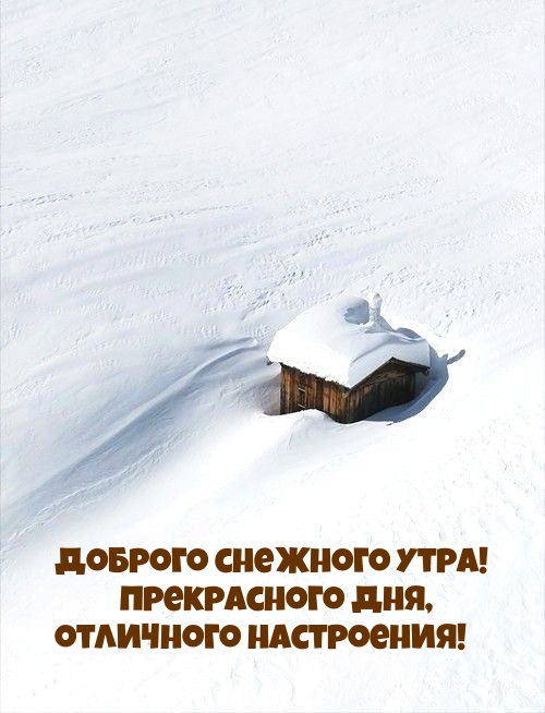 Доброго снежного утра! Прекрасного дня