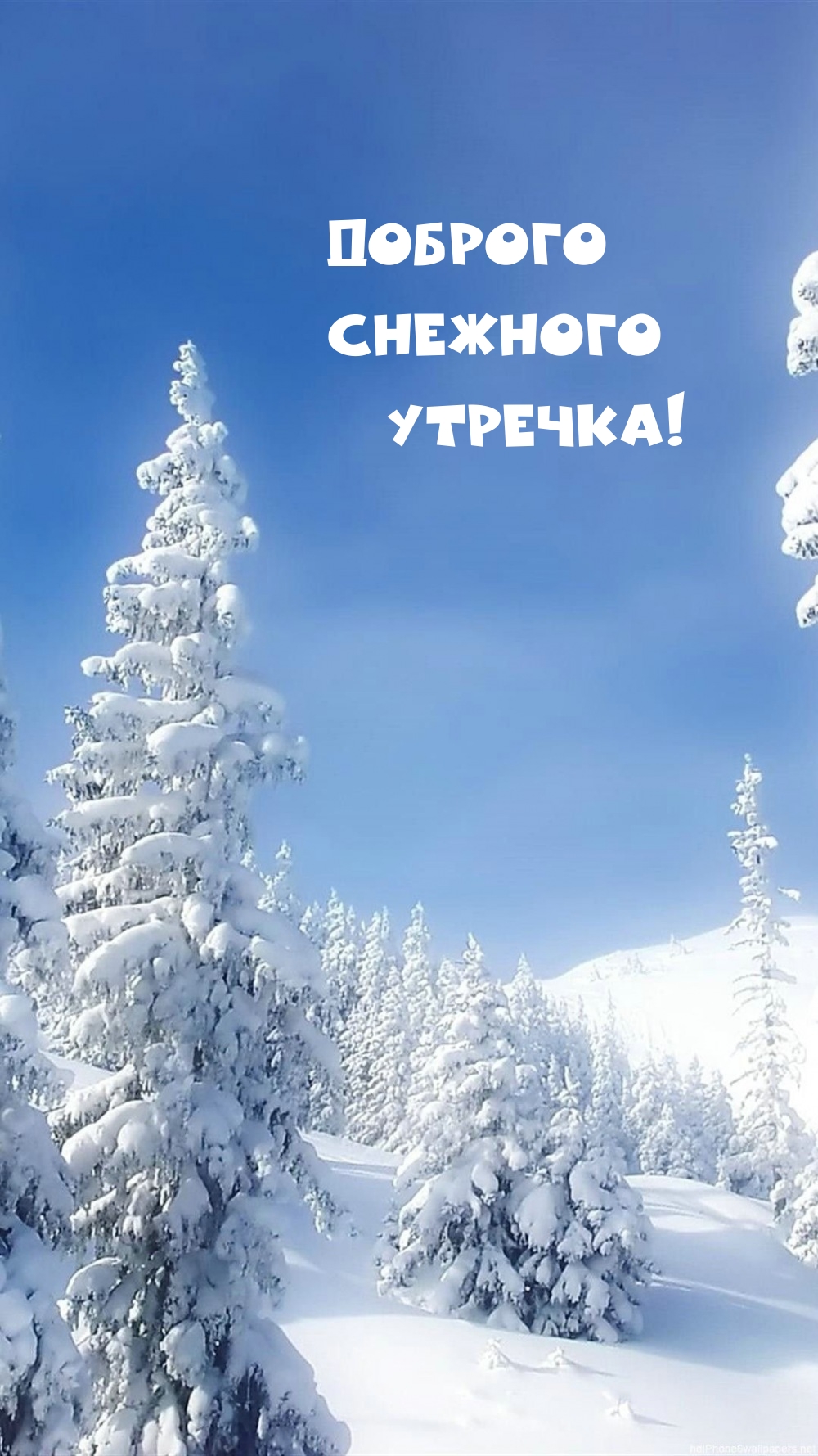 Доброго снежного утречка!