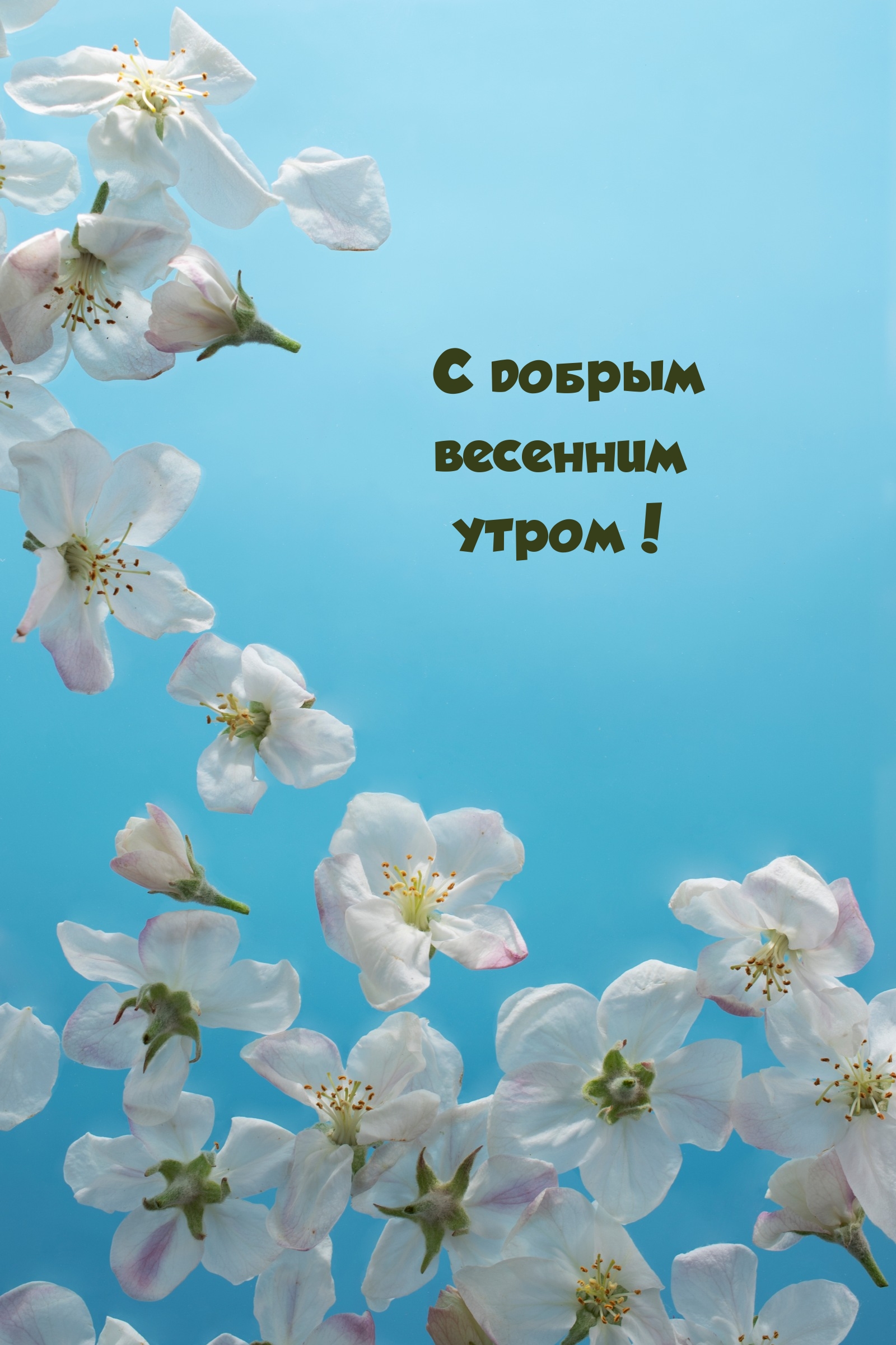 С добрым весенним утром!