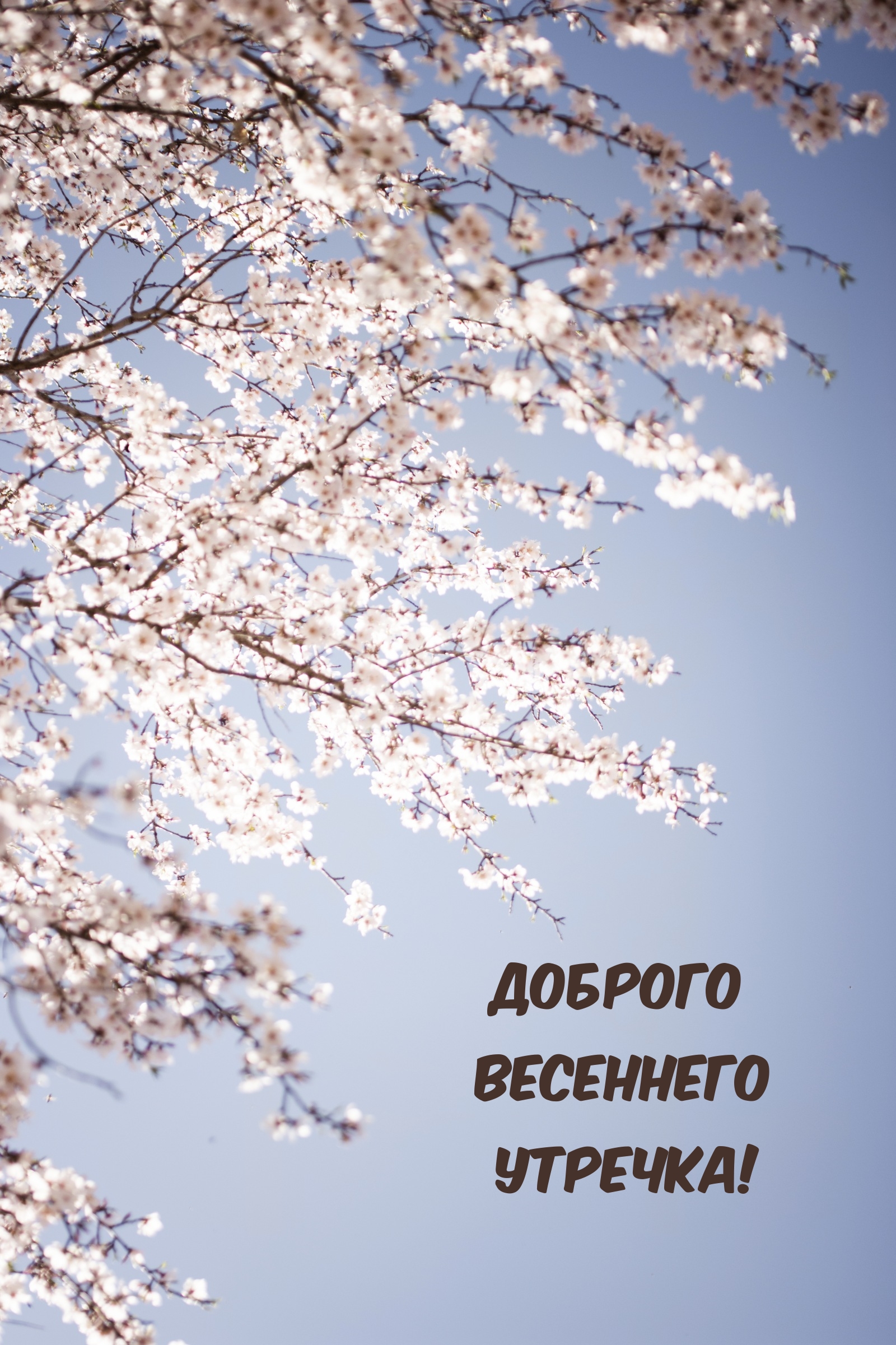 Доброго весеннего утречка!