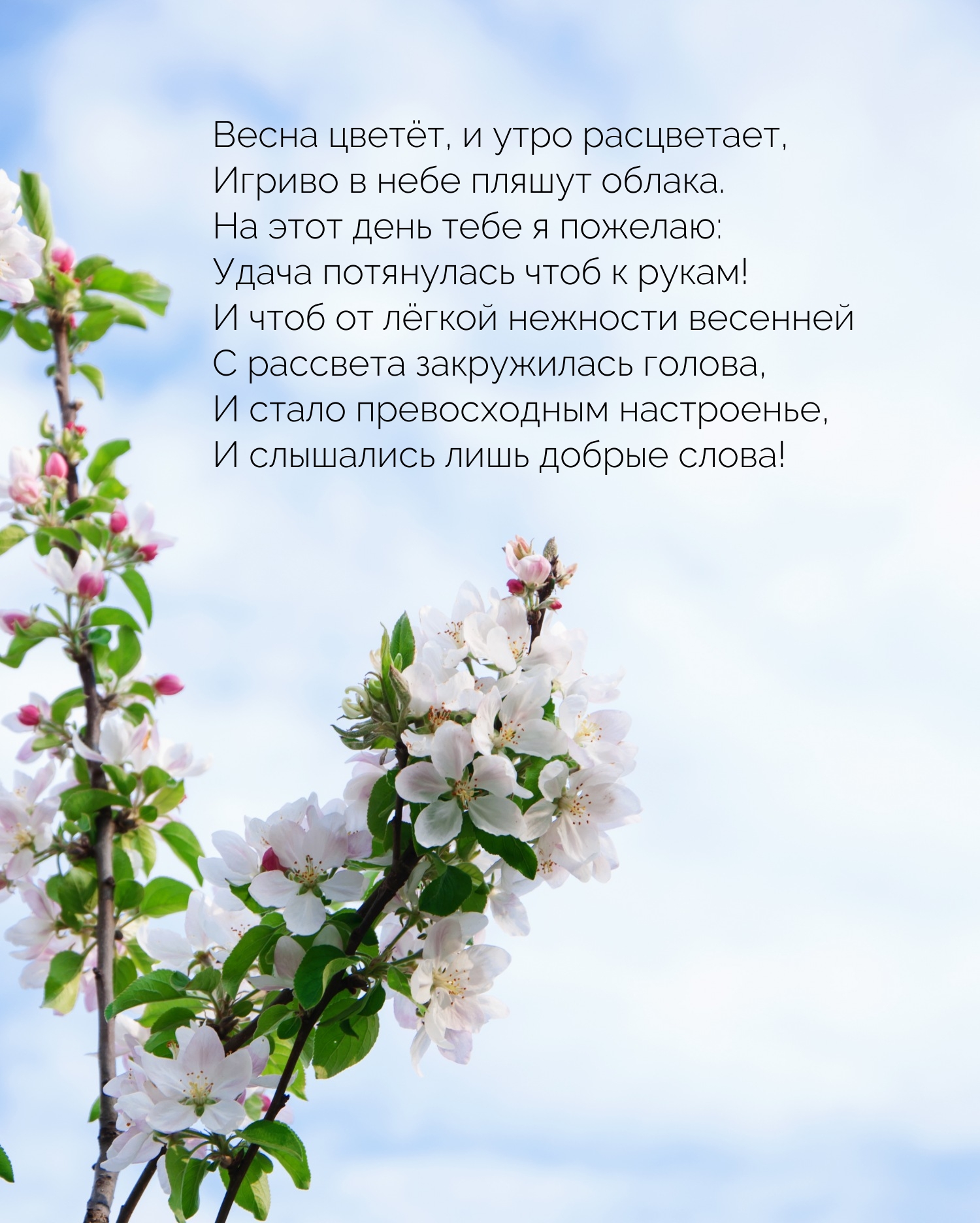 Весна цветёт, и утро расцветает, игриво в небе пляшут облака.