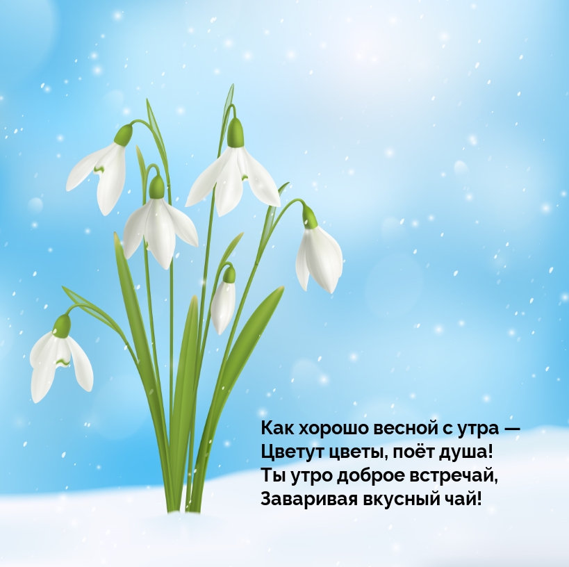 Ты утро доброе встречай, заваривая вкусный чай!