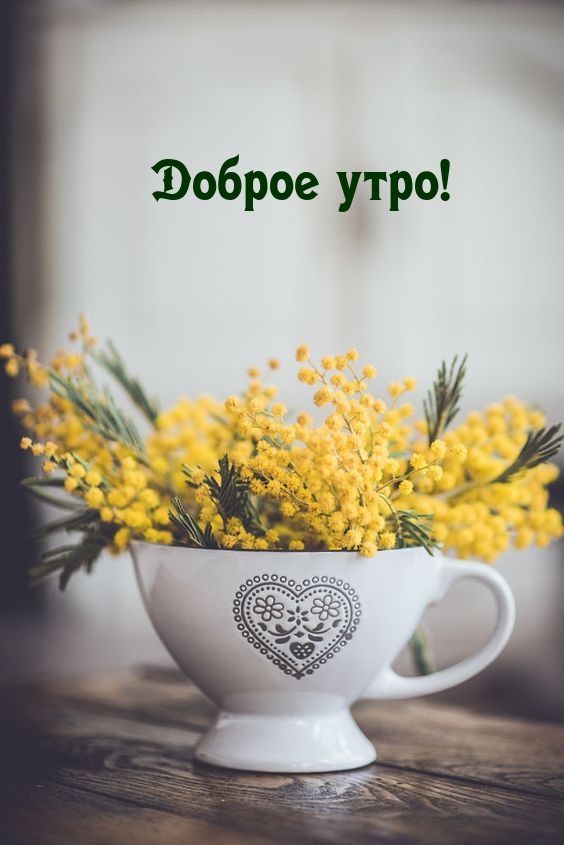 Доброе утро!