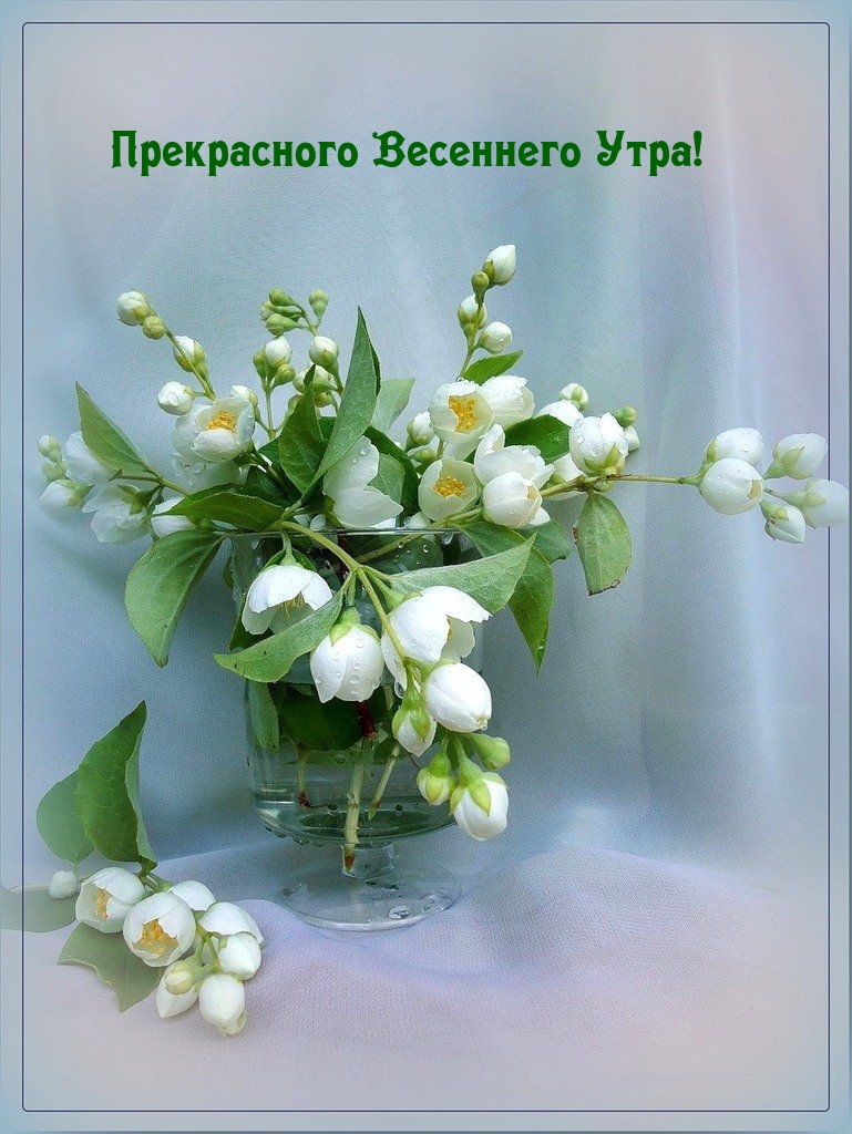 Прекрасного Весеннего Утра!