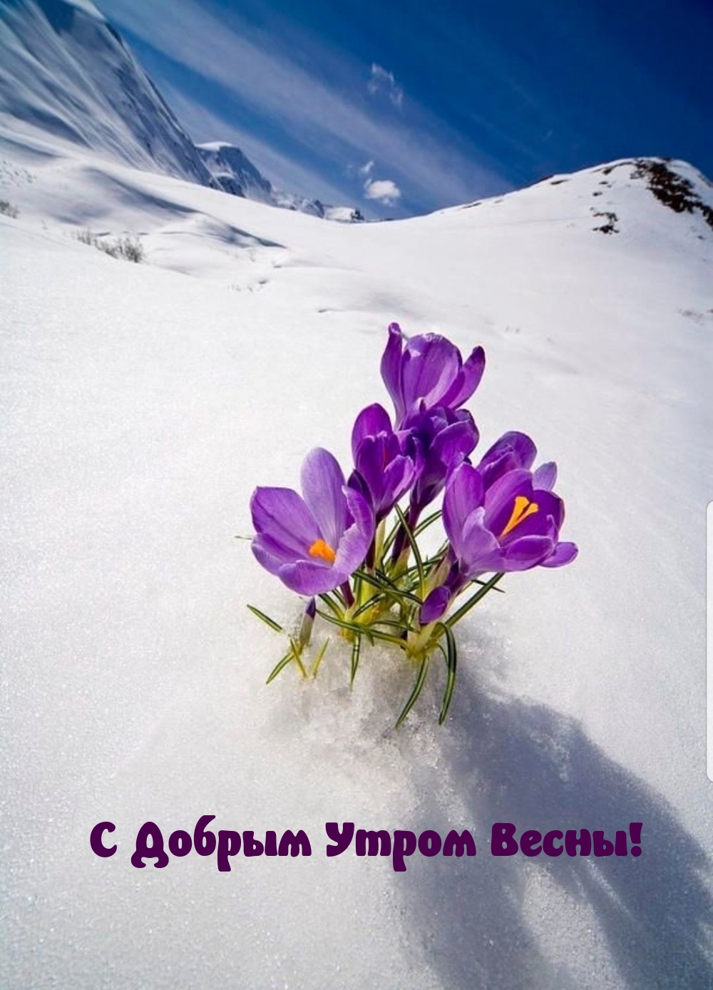 С Добрым Утром Весны!