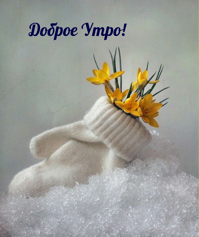 Доброе Утро!