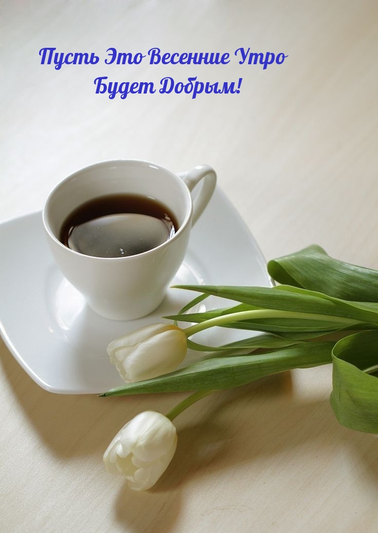 Пусть Это Весенние Утро Будет Добрым!