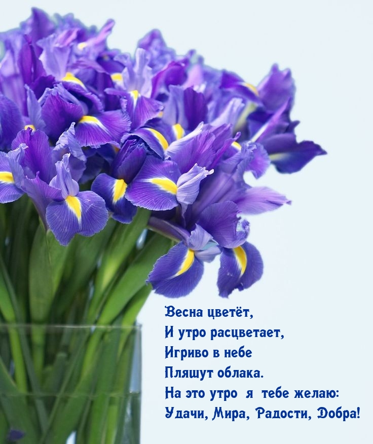 Удачи, Мира, Радости, Добра! Весна цветёт, и утро расцветает