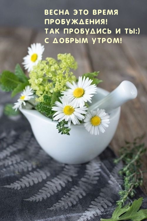 Весна это время пробуждения! Так пробудись и ты:)  С добрым утром!