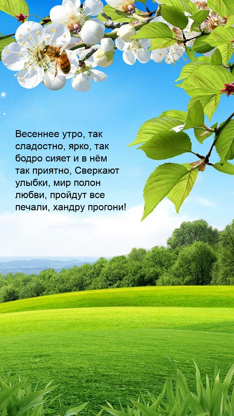 Весеннее утро, так сладостно, ярко, так бодро сияет