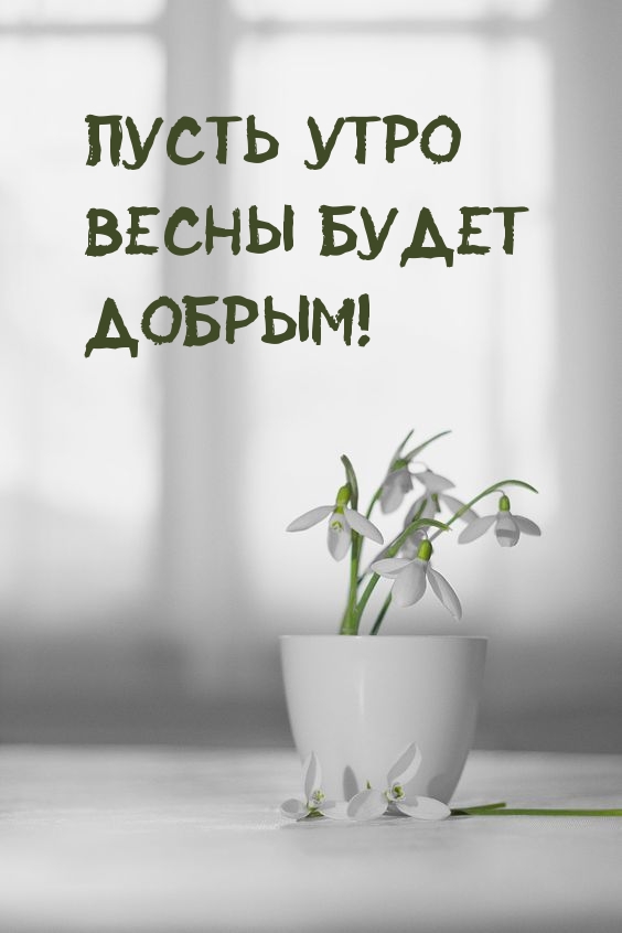Пусть утро весны будет добрым!