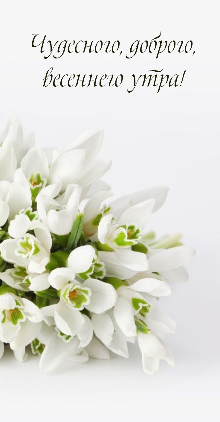 Чудесного, доброго, весеннего утра!