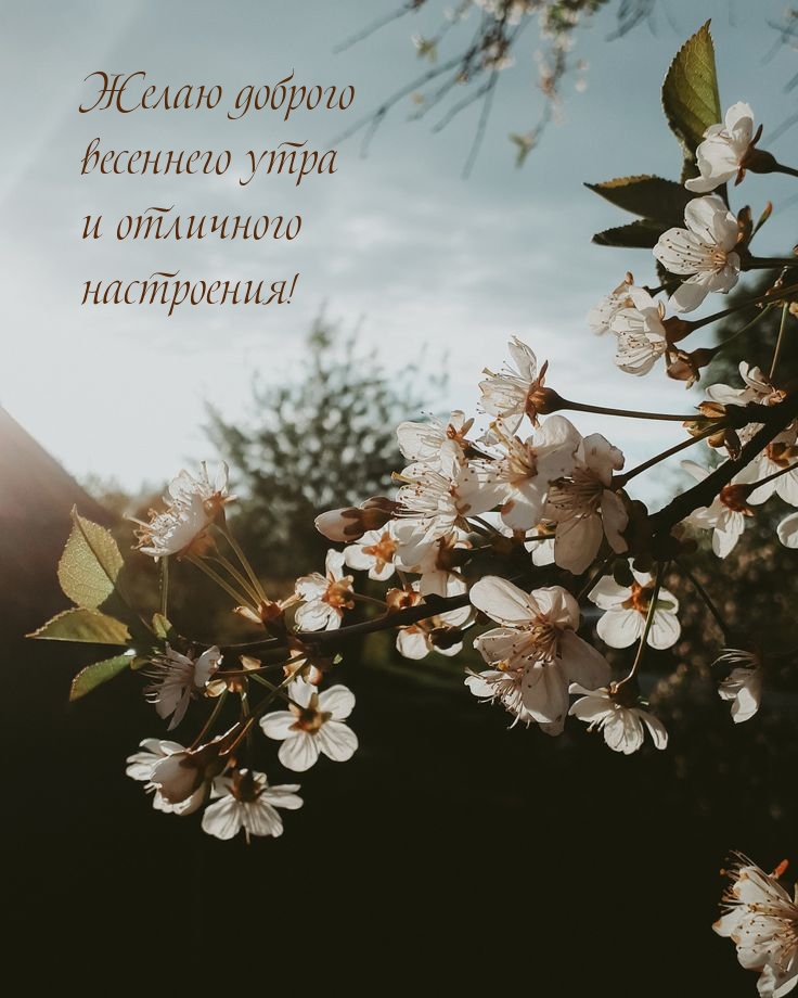 Желаю доброго весеннего утра и отличного настроения!