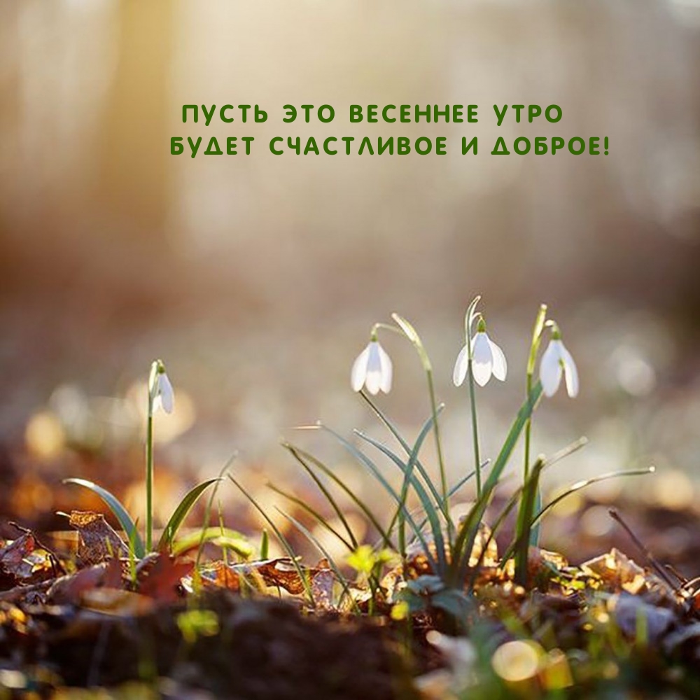 Пусть это весеннее утро будет счастливое и доброе!