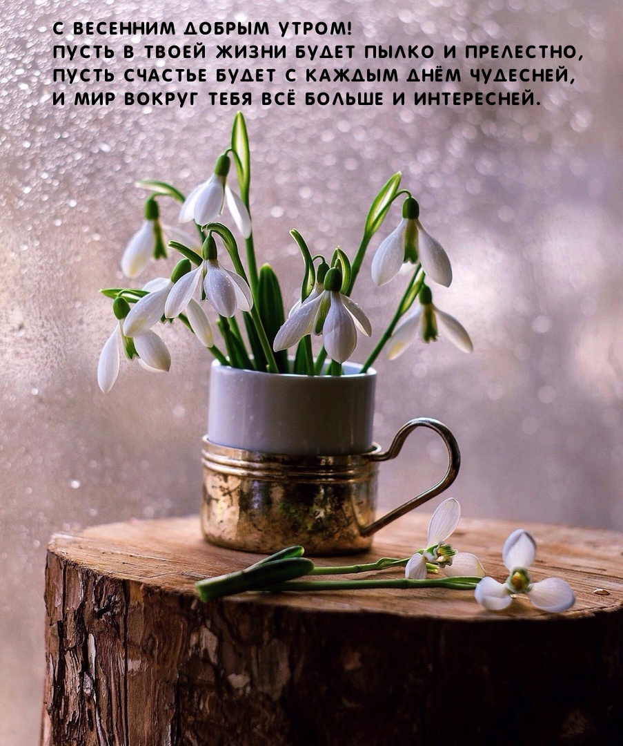 С весенним утром! Пусть в твоей жизни будет пылко и прелестно