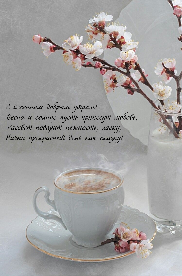 С весенним добрым утром! Весна и солнце пусть принесут любовь