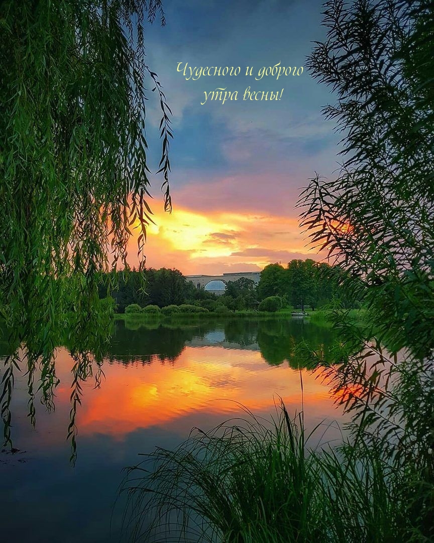 Чудесного и доброго утра весны!