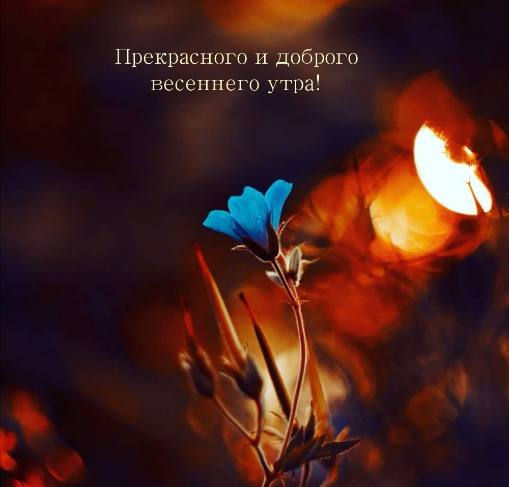 Прекрасного и доброго весеннего утра!