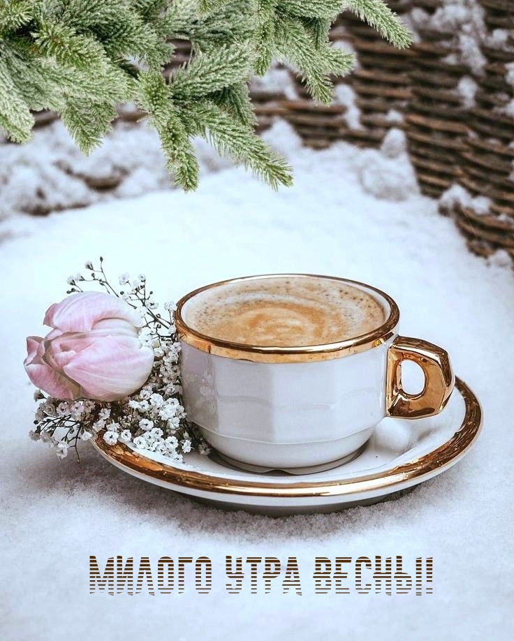 Милого утра весны!