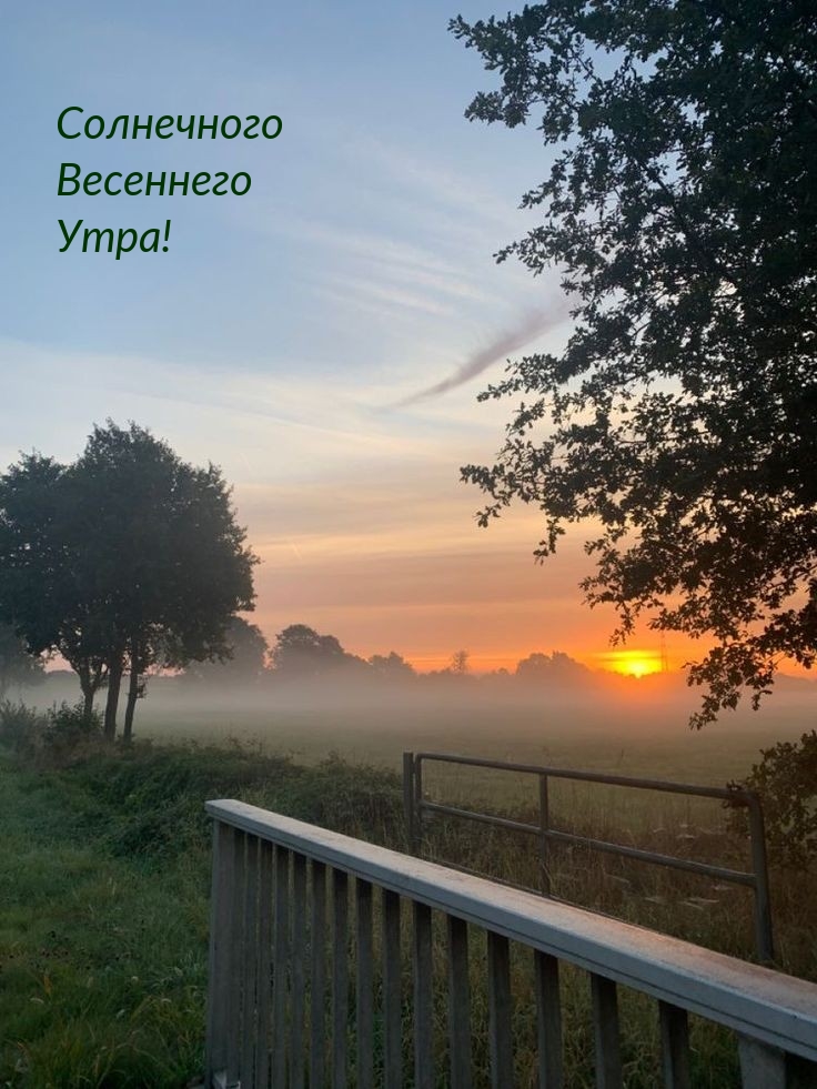 Солнечного Весеннего Утра!
