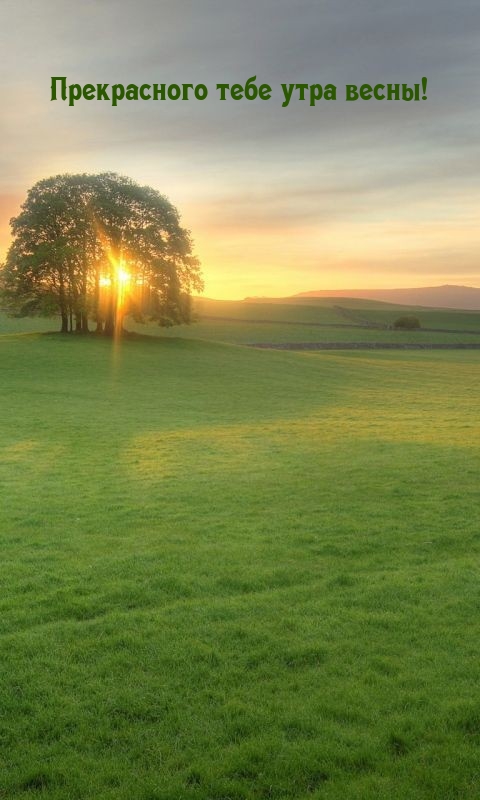 Прекрасного тебе утра весны!