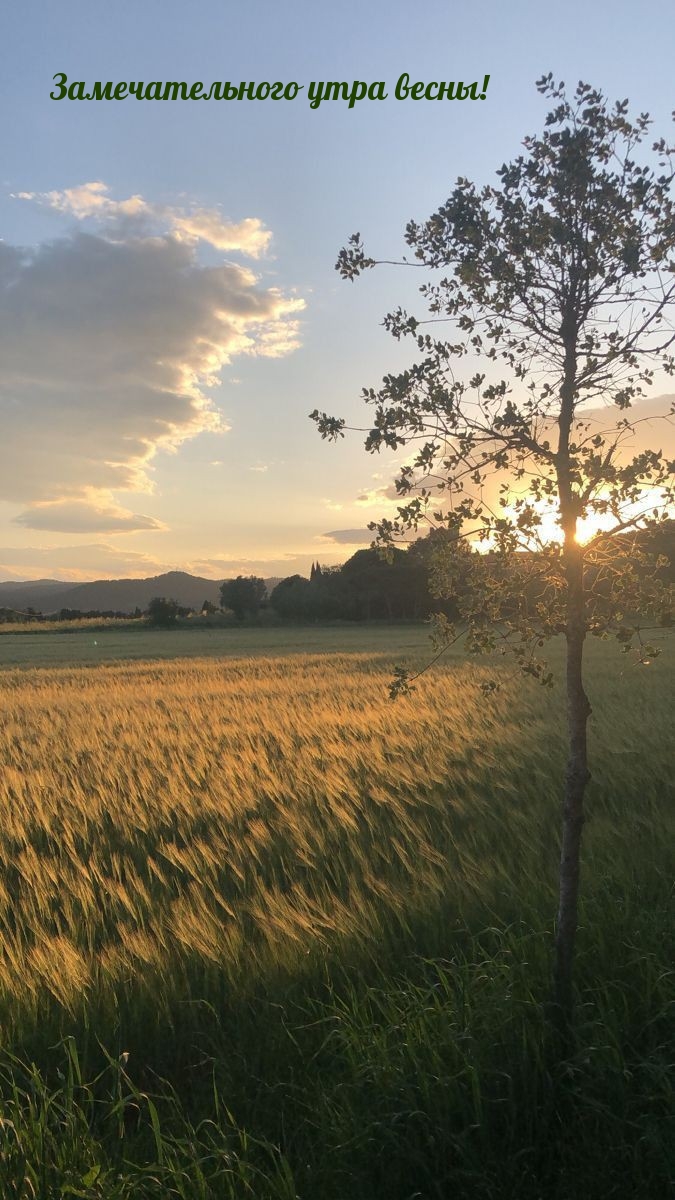 Замечательного утра весны!