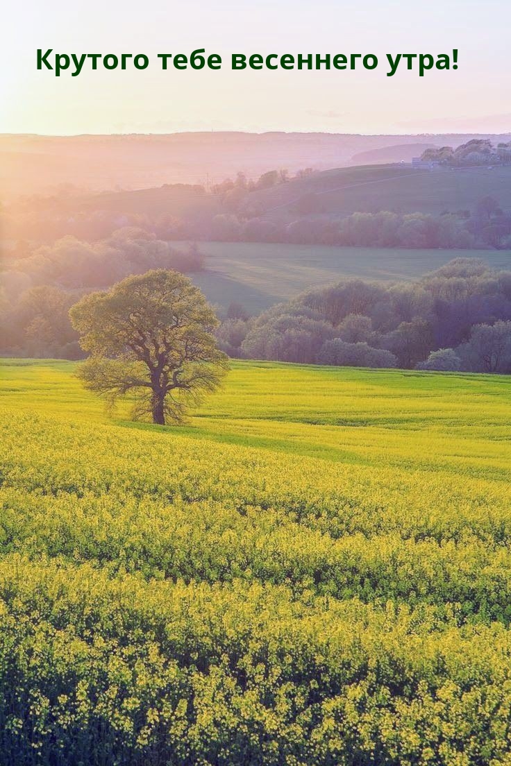 Крутого тебе весеннего утра!