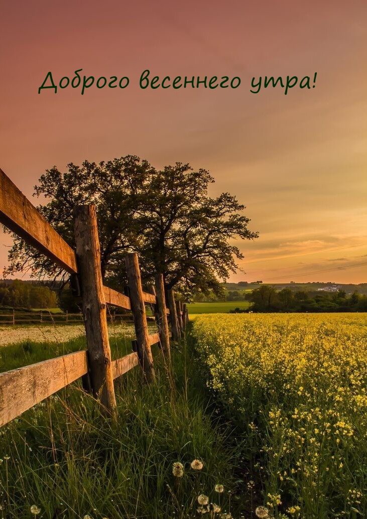 Доброго весеннего утра!