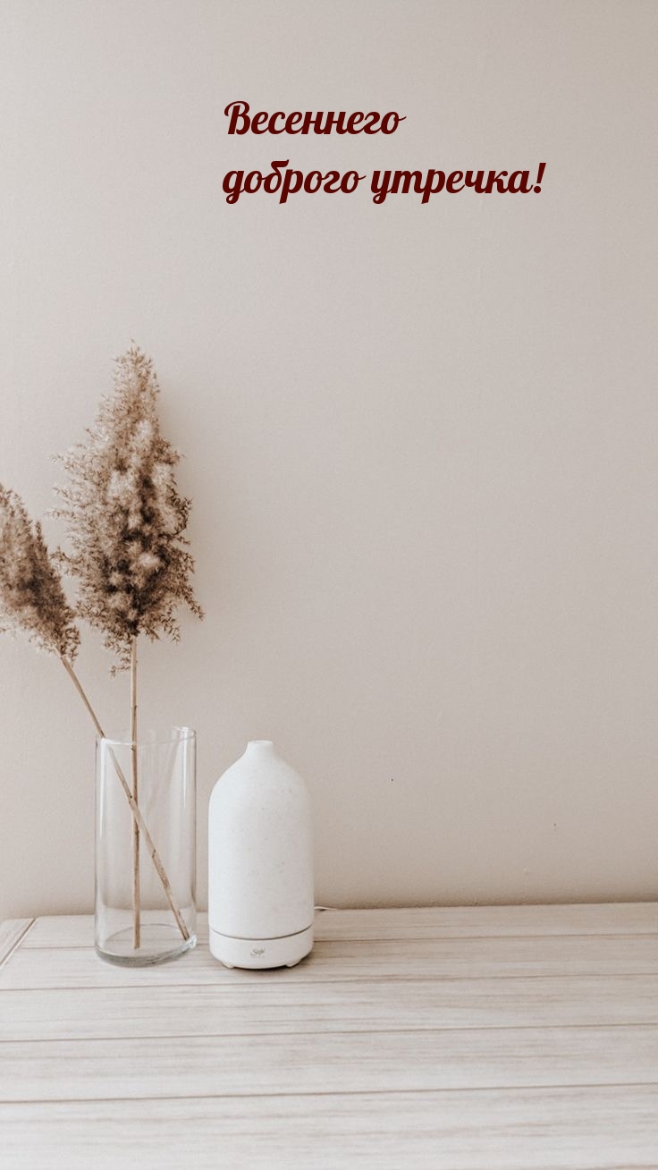 Весеннего доброго утречка!