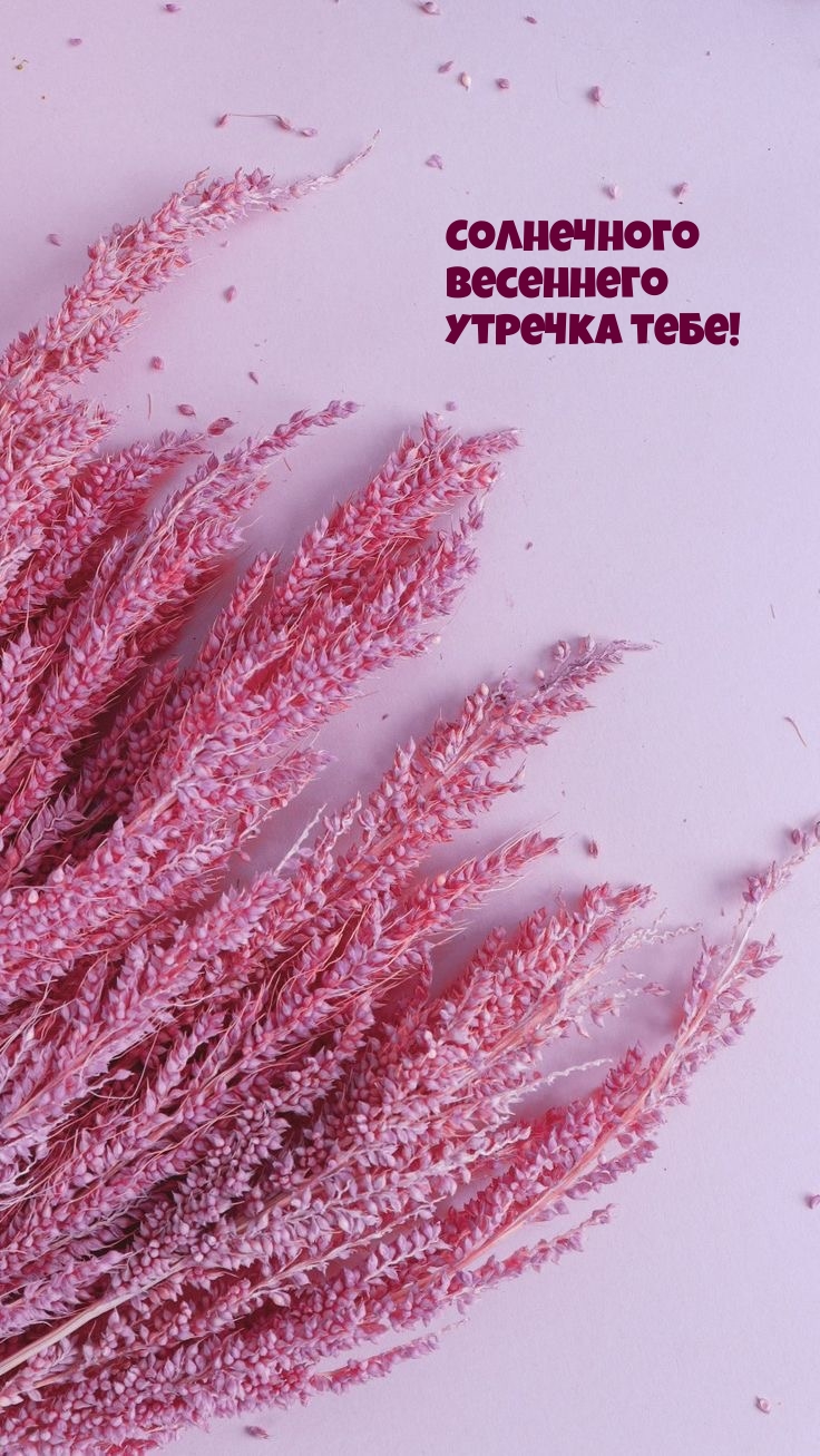 Солнечного весеннего утречка тебе!
