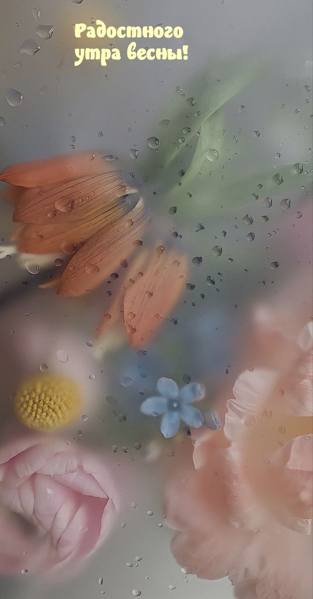 Радостного утра весны!