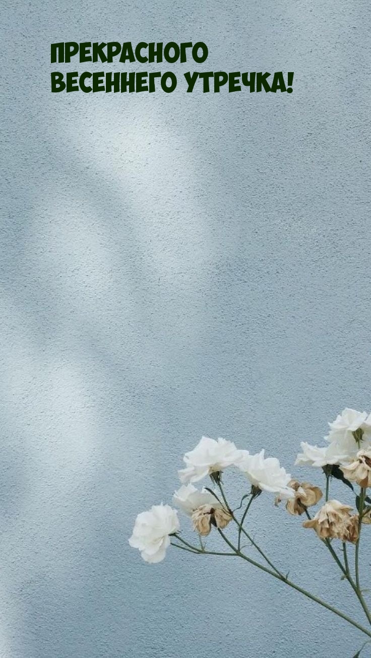 Прекрасного весеннего утречка!