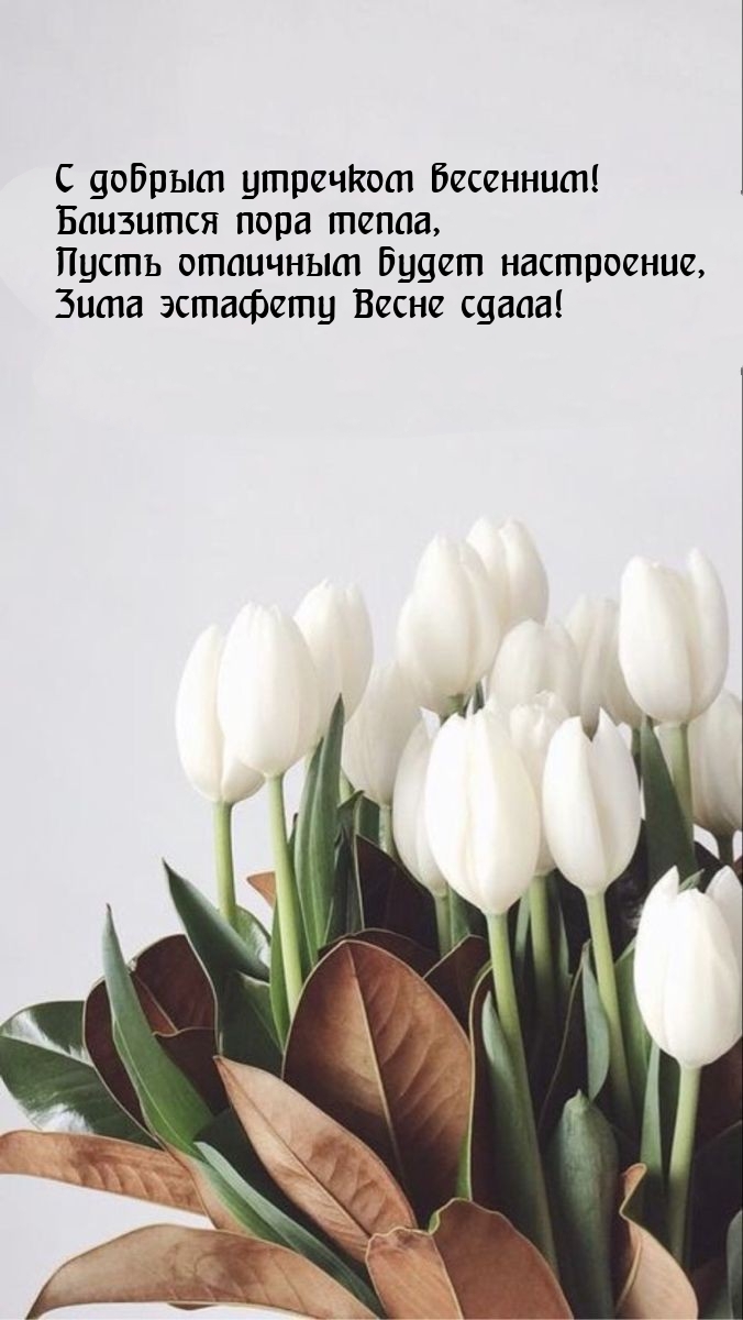 С добрым утречком весенним! Близится пора тепла