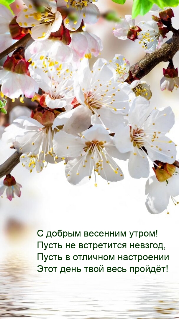 С добрым весенним утром! Пусть не встретится невзгод
