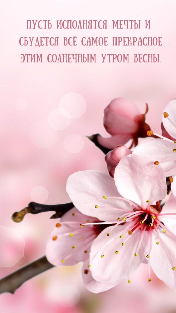 Пусть исполнятся мечты и сбудется всё самое прекрасное