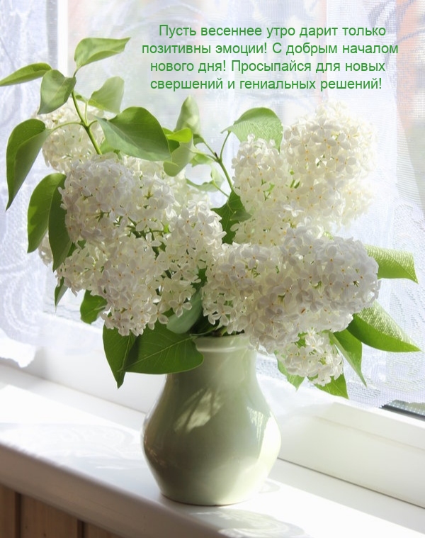 Пусть весеннее утро дарит только позитивны эмоции!