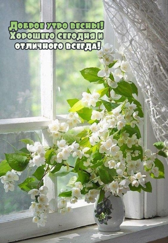 Доброе утро весны! Хорошего сегодня и отличного всегда!